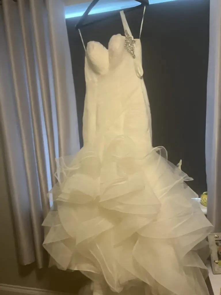Pronovias mildred deals wedding dress