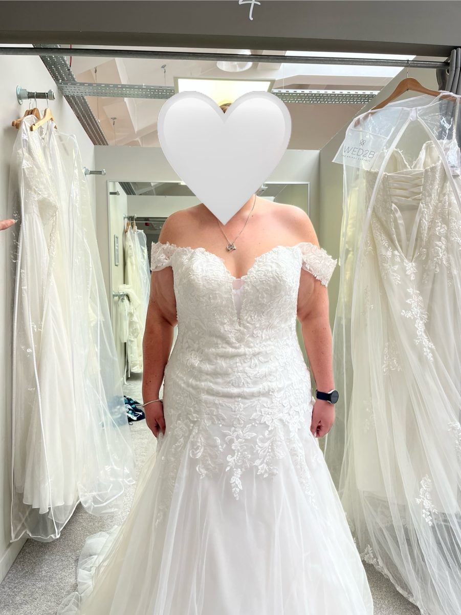 Anna sorrano wedding hotsell dress for sale